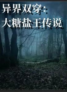 异界双穿:大糖盐王传说