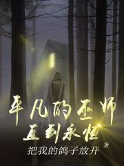平凡的巫师:直到永恒