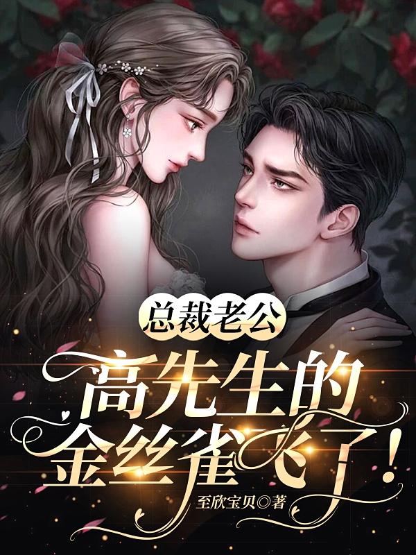 总裁老公:高先生的金丝雀飞了!