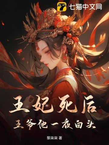 王妃死后,王爷他一夜白头