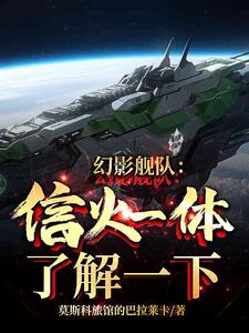 幻影舰队:信火一体了解一下