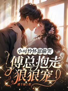 小可怜怀崽偷哭:傅总抱走狠狠宠